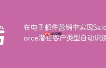 在电子邮件营销中实现Salesforce潜在客户类型自动识别