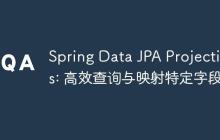 Spring Data JPA Projections: 高效查詢與映射特定字段