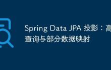 Spring Data JPA 投影：高效查詢與部分?jǐn)?shù)據(jù)映射