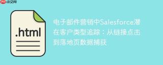 电子邮件营销中Salesforce潜在客户类型追踪：从链接点击到落地页数据捕获
