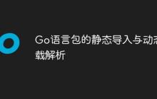 Go语言包的静态导入与动态加载解析
