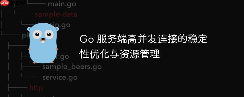 Go 服务端高并发连接的稳定性优化与资源管理-小浪学习网