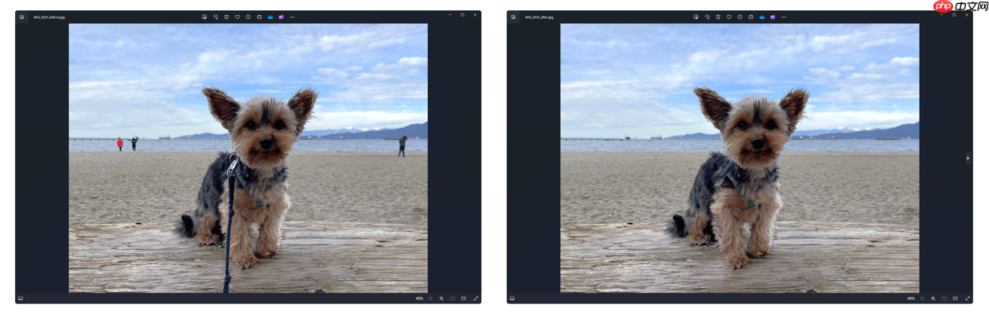 微软分享照片应用最新编辑功能：生成式擦除