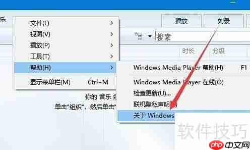 查看Windows Media Player版本