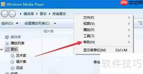 查看Windows Media Player版本