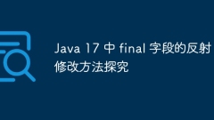 Research on the reflection modification method of final field in Java 17