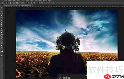 Topaz Remask安装使用指南