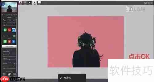 Topaz Remask安装使用指南