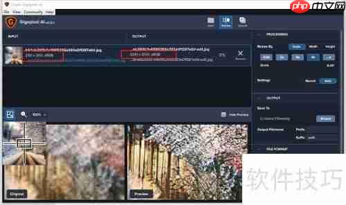 Topaz AI无损放大图像技巧