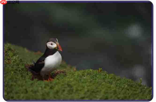 首个开源多模态 Deep Research 智能体,超越多个闭源方案