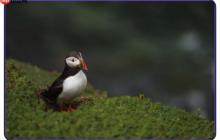 首个开源多模态 Deep Research 智能体，超越多个闭源方案