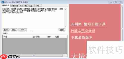 前端扒站神器:IIS7下载器