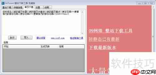 前端扒站神器:IIS7下载器