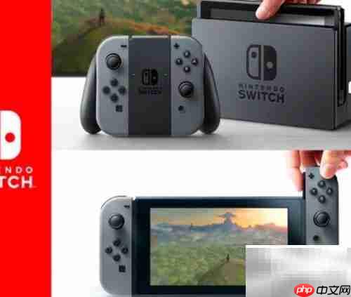 Switch新手使用指南