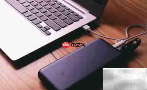 Switch新手使用指南