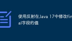 Modify the value of final field in Java 17 using reflection