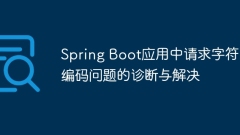 Diagnosis and solution of requested character encoding problems in Spring Boot application