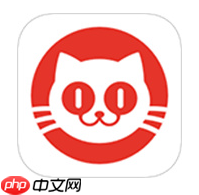 猫眼买演唱会门票怎么付款 猫眼买演唱会门票可以用花呗吗
