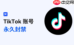TikTok账号被封号怎么办