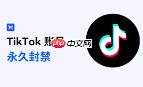 TikTok账号被封号怎么办