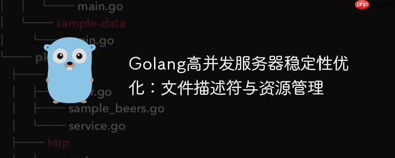 Golang高并发服务器稳定性优化：文件描述符与资源管理