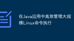 Efficiently manage large-scale Linux command execution in Java applications