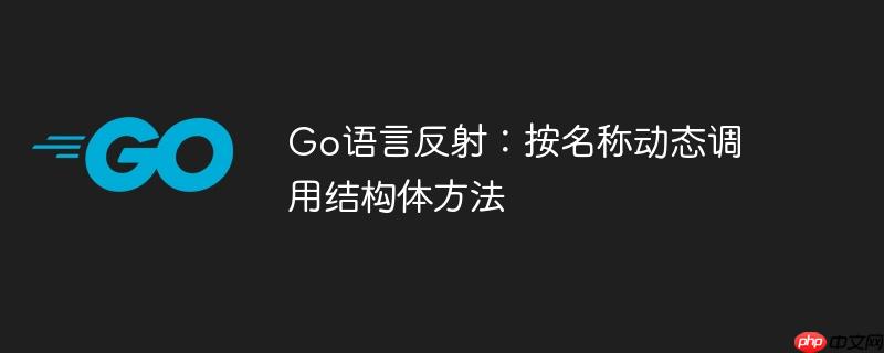 go语言反射：按名称动态调用结构体方法