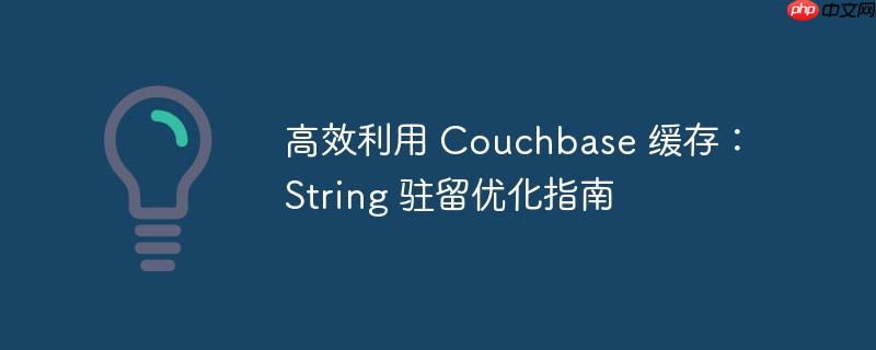 高效利用 couchbase 缓存:string 驻留优化指南