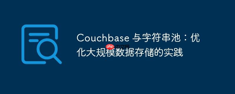 couchbase 与字符串池：优化大规模数据存储的实践