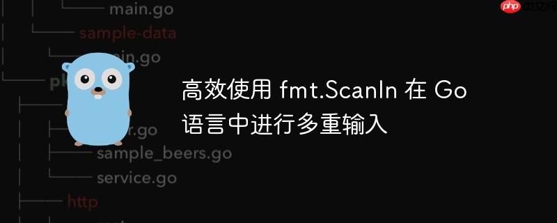 高效使用 fmt.scanln 在 go 语言中进行多重输入