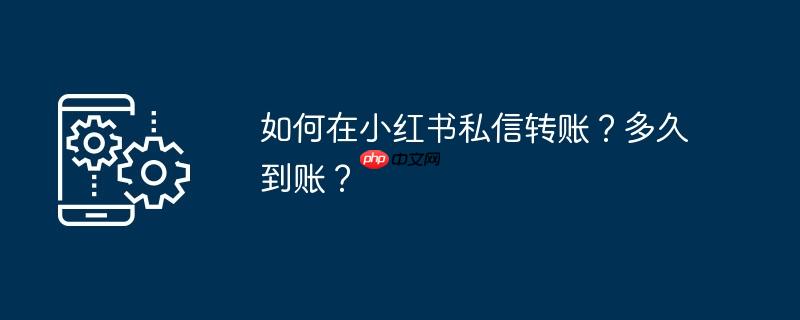 如何在小红书私信转账？多久到账？