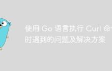 使用 Go 语言执行 Curl 命令时遇到的问题及解决方案