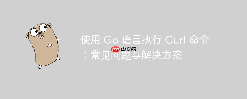使用 go 语言执行 curl 命令：常见问题与解决方案