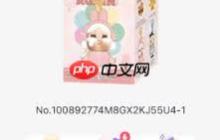 ppmt小程序锁单时间是多久