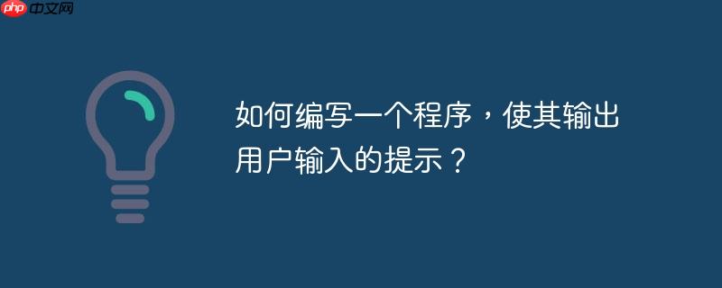 如何编写一个程序,使其输出用户输入的提示?