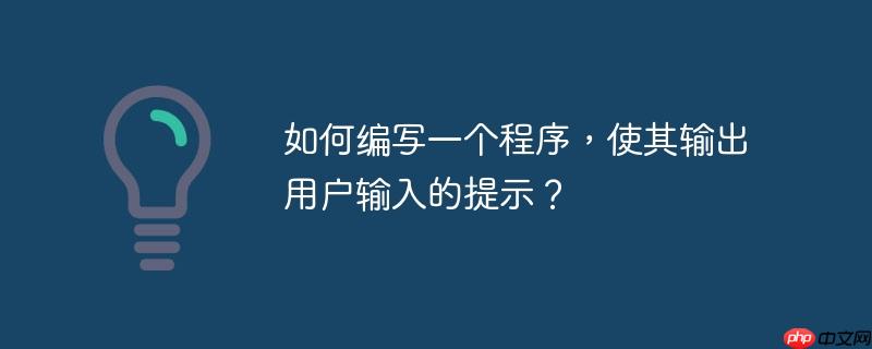 如何编写一个程序，使其输出用户输入的提示？