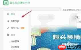 怎么在趣头条查看我的订单 怎么在趣头条上发视频挣钱