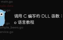 调用 C 编写的 DLL 函数：Go 语言教程