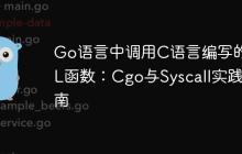 Go语言中调用C语言编写的DLL函数：Cgo与Syscall实践指南
