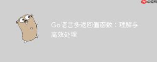 Go语言多返回值函数：理解与高效处理