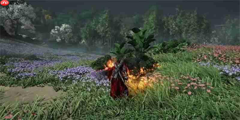 燕云十六声斗笠怎么获得 斗笠获取方法详细介绍