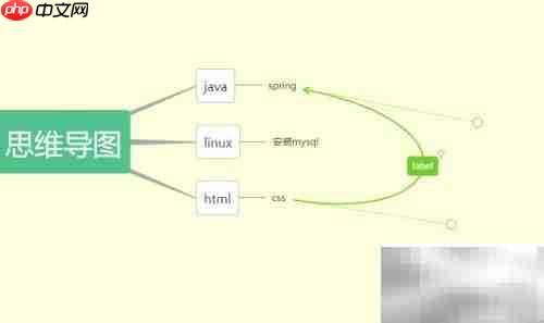 如何使用演示功能