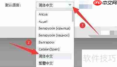 Wise Disk Cleaner语言设置指南