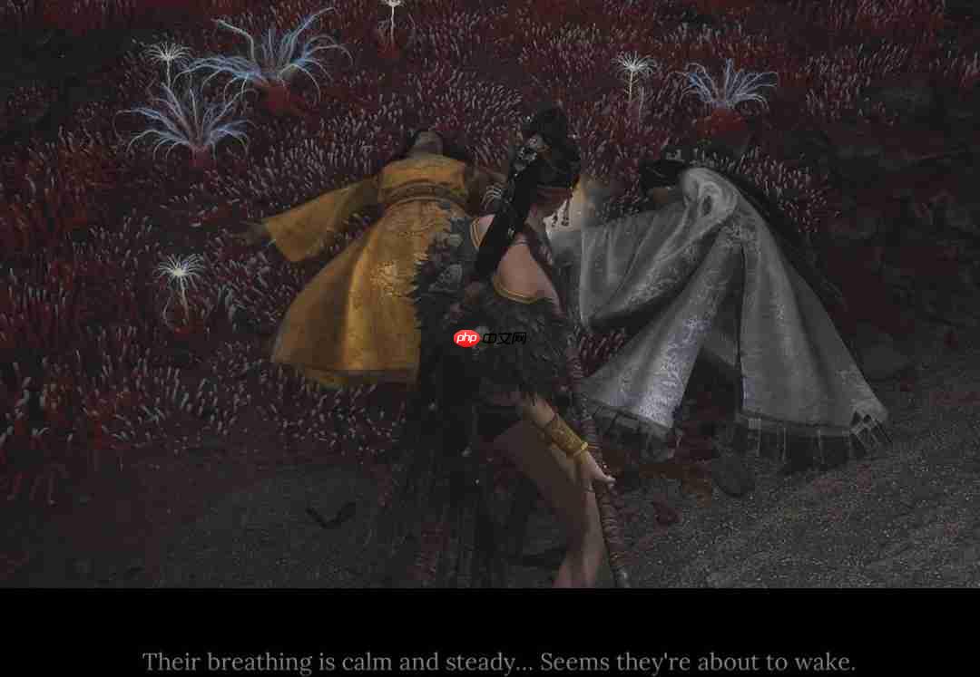 《明末：渊虚之羽》1.5更新遭国外玩家差评轰炸