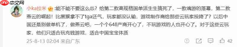 《明末：渊虚之羽》1.5更新遭国外玩家差评轰炸