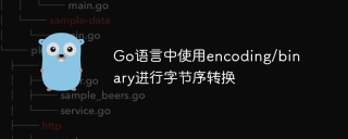 Go語言中使用encoding/binary進行字節序轉換