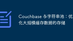 Couchbase and string pool: Optimize storage of large-scale cached data