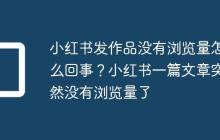 小红书发作品没有浏览量怎么回事?小红书一篇文章突然没有浏览量了