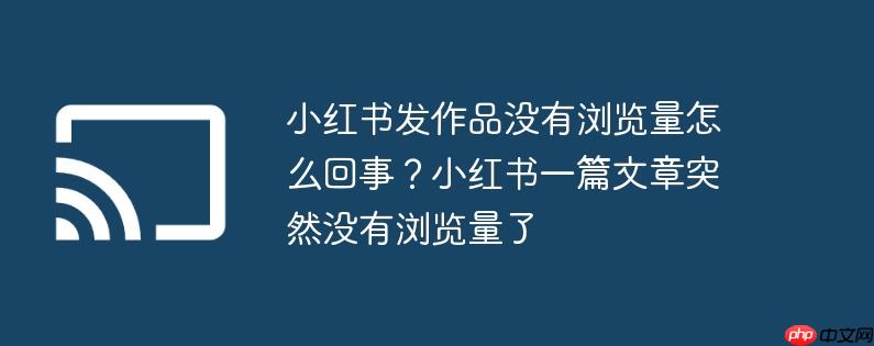 小红书发作品没有浏览量怎么回事？小红书一篇文章突然没有浏览量了