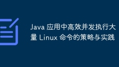 Strategies and practices for efficiently and concurrently executing a large number of Linux commands in Java applications